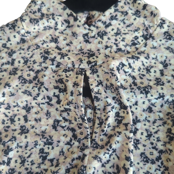 Brand Eclaire. Small size. Cream, with white and black color - Picture 3 of 7